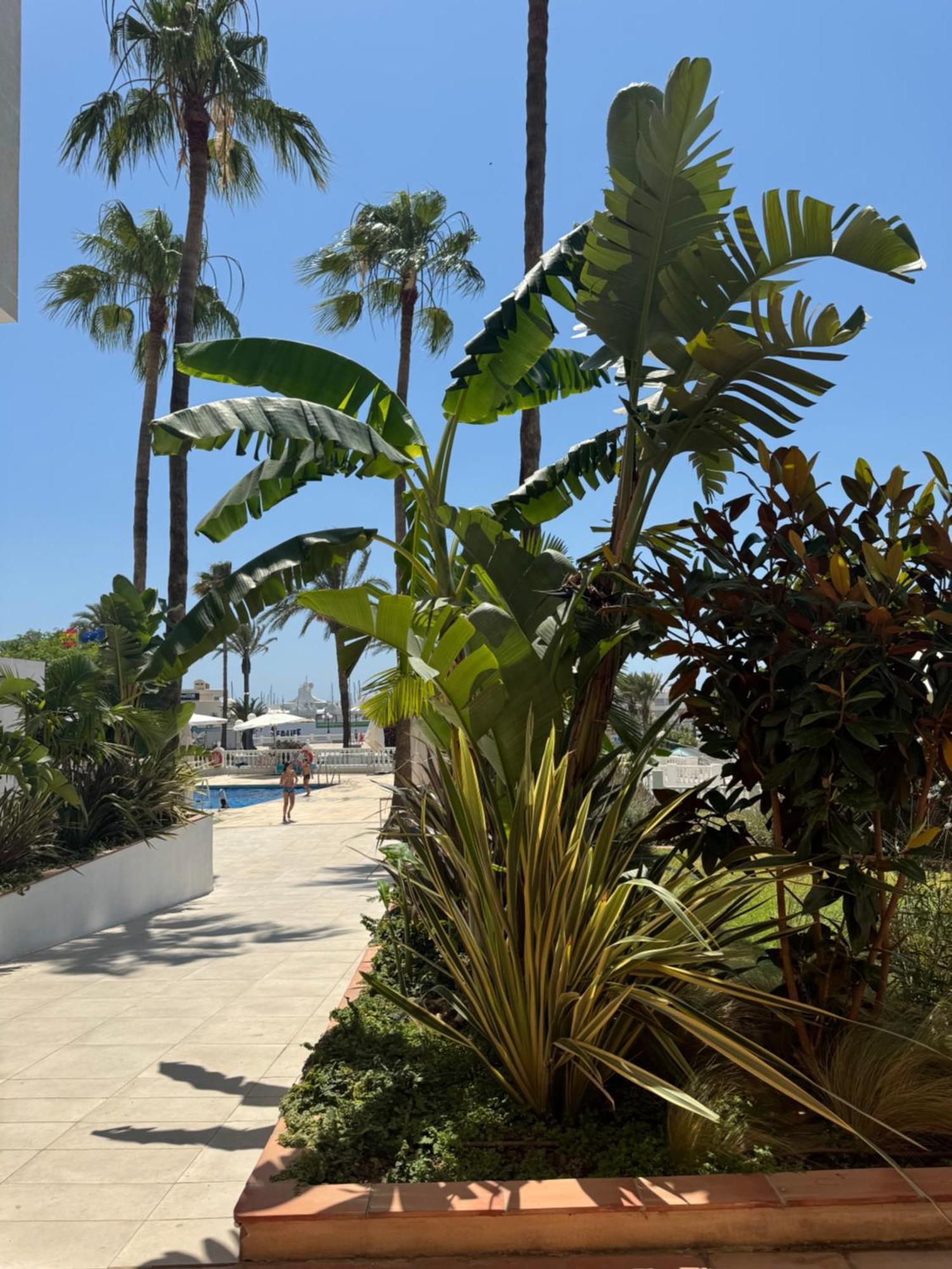 Piso509 Appartement Benalmádena Buitenkant foto